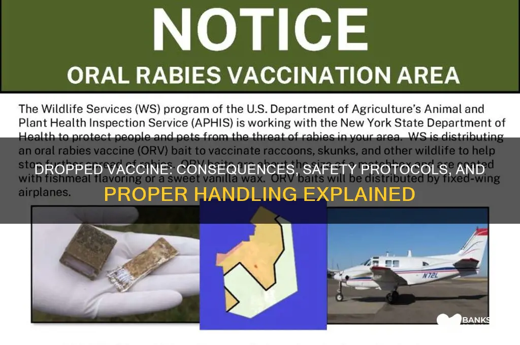 what happens if a vaccine is dropped