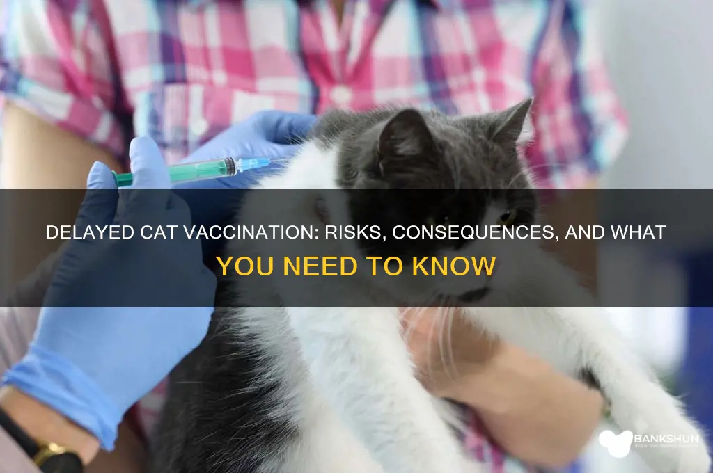 what happens if cat vaccination is delayed