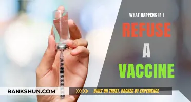 Refusing Vaccines: Risks, Consequences, and Impact on Public Health