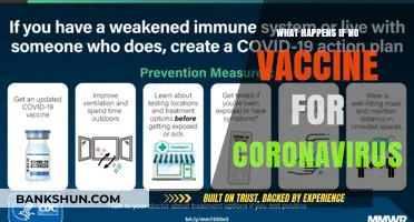 No COVID-19 Vaccine: Potential Consequences and Global Impact Explored