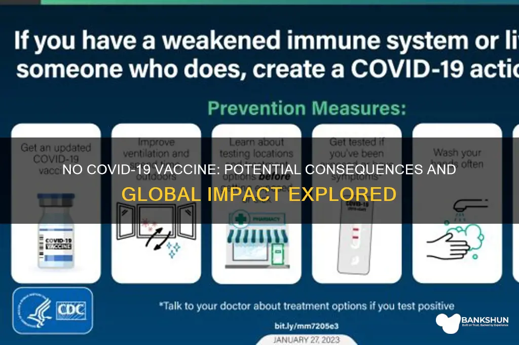what happens if no vaccine for coronavirus