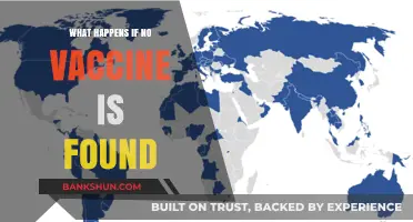 A World Without a Vaccine: Potential Consequences and Challenges