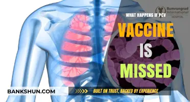 Missed PCV Vaccine: Risks, Consequences, and Catch-Up Options Explained