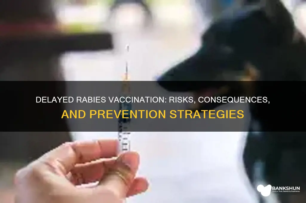 what happens if rabies vaccination is delayed