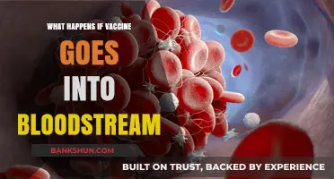 Vaccine in Bloodstream: Potential Risks and What You Need to Know