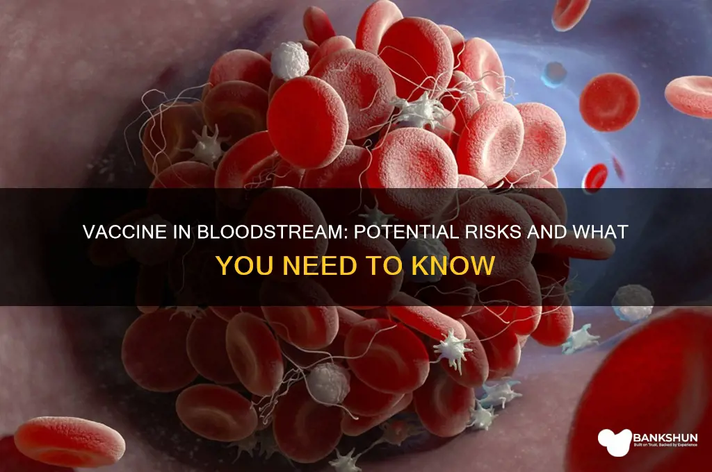 what happens if vaccine goes into bloodstream