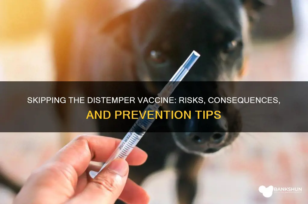 what happens if you miss distemper vaccine