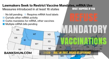 Refusing Mandatory Vaccinations: Consequences, Legal Battles, and Public Health Impact