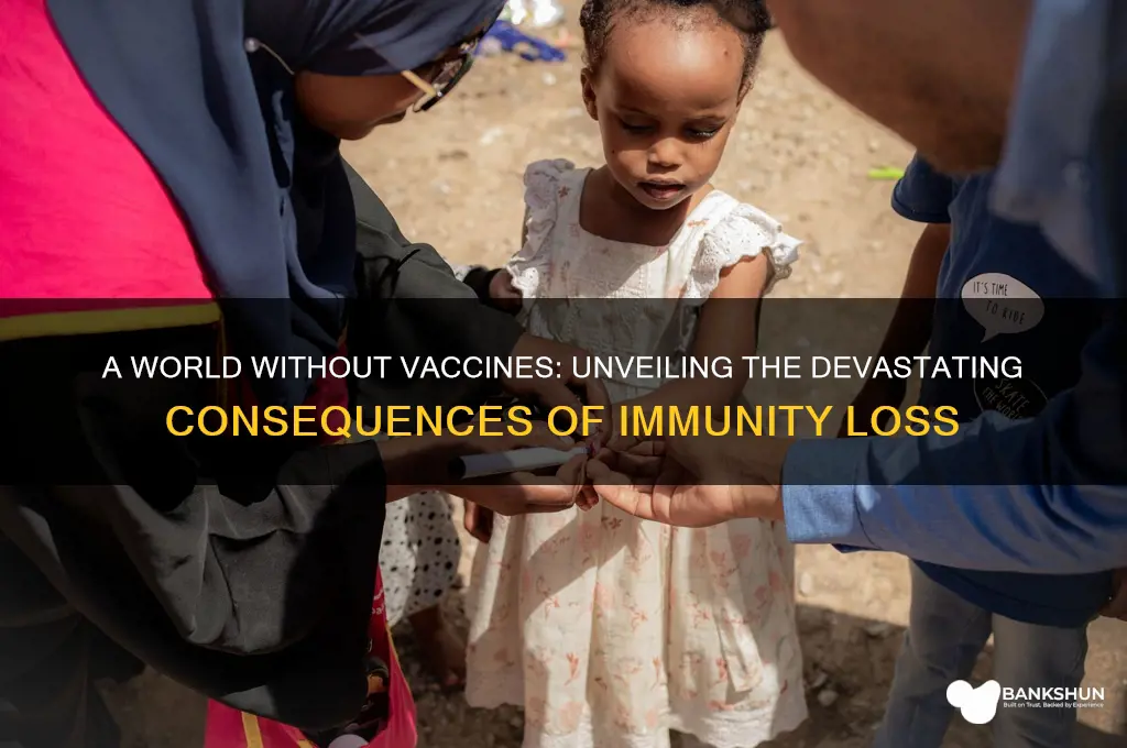 what happens in a world without vaccines