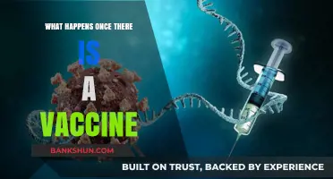 Post-Vaccine World: What to Expect After COVID-19 Immunization