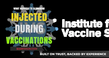 Aluminum in Vaccines: Safety, Myths, and Scientific Facts Explained