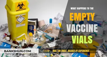 Empty Vaccine Vials: Recycling, Disposal, and Environmental Impact Explained