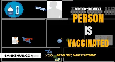 Vaccination Process: How It Works and What Happens in Your Body