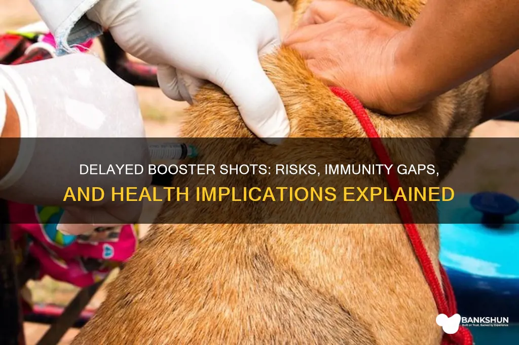 what happens when booster vaccinations are late