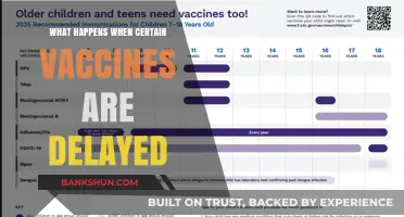 Delayed Vaccines: Risks, Consequences, and Catch-Up Strategies Explained