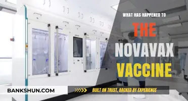 Novavax Vaccine: Delays, Challenges, and Current Status Explained