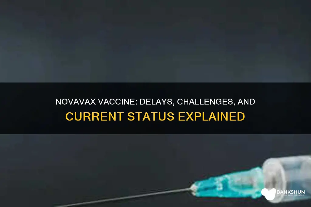 what has happened to the novavax vaccine