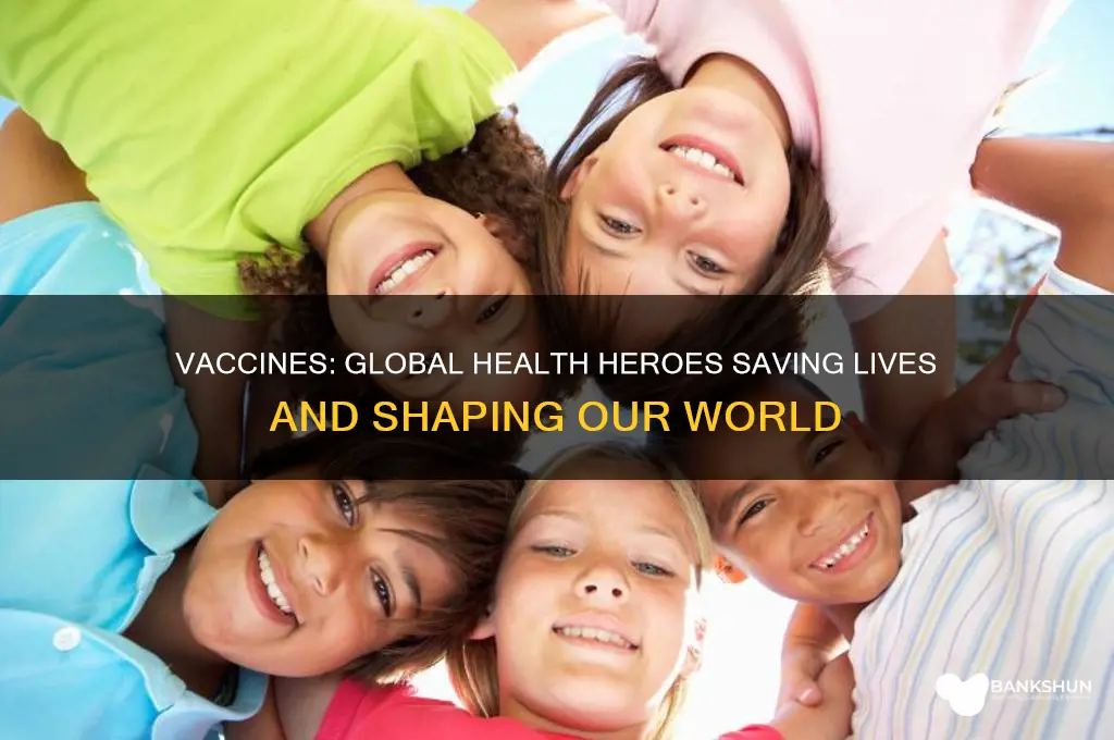 what have vaccines done for the world
