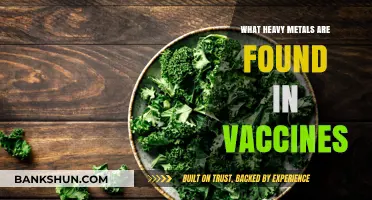 Unveiling Heavy Metals in Vaccines: Facts, Safety, and Common Concerns