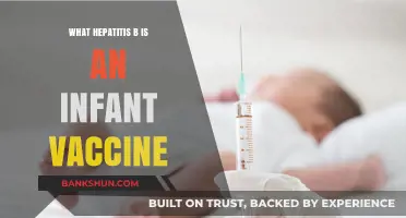 Hepatitis B Vaccine for Infants: Essential Protection for Newborns