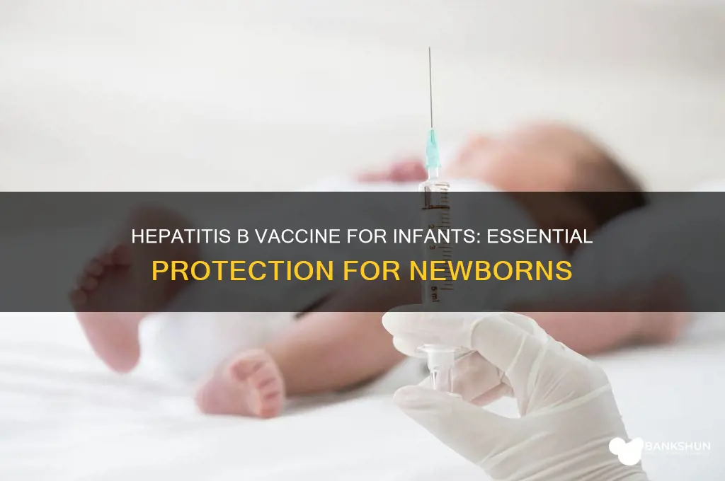 what hepatitis b is an infant vaccine