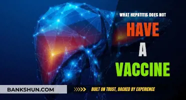 Hepatitis Types Without Vaccines: Understanding Unprotected Strains and Risks
