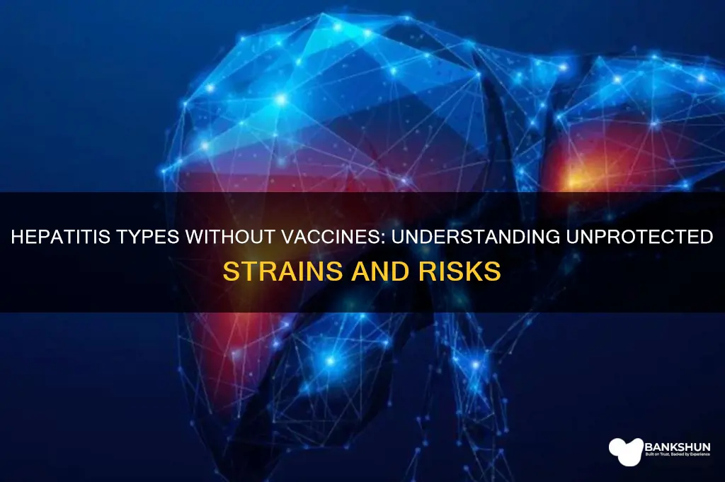 what hepatitis does not have a vaccine