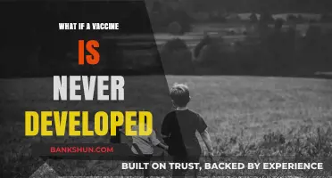 A World Without Vaccines: Exploring the Long-Term Consequences