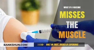 Vaccine Administration Error: What Happens When It Misses the Muscle?