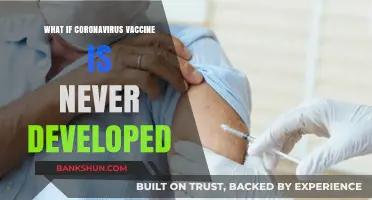 A World Without a COVID-19 Vaccine: Potential Long-Term Consequences