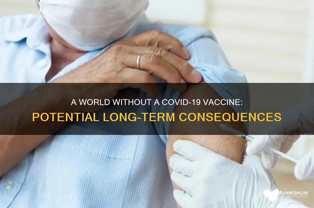 what if coronavirus vaccine is never developed