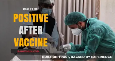 Testing Positive Post-Vaccination: What It Means and Next Steps