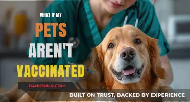 Unvaccinated Pets: Risks, Consequences, and Why Vaccines Are Essential