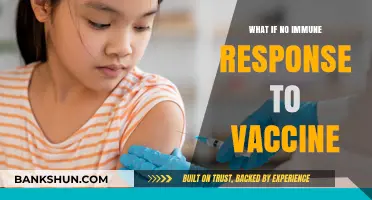 No Immune Response to Vaccines: Causes, Risks, and Solutions Explained