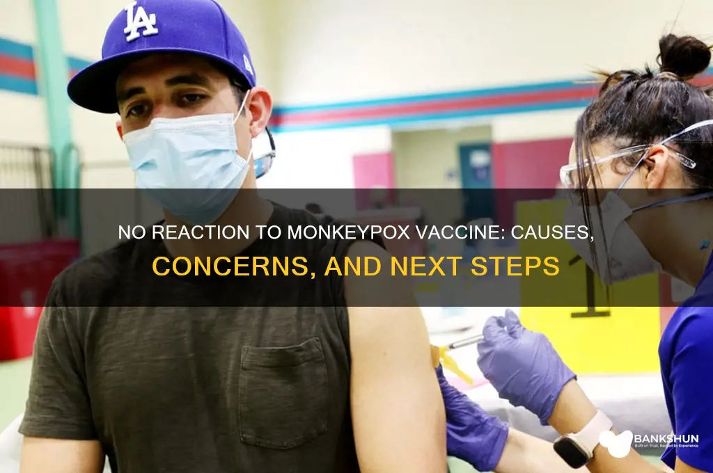 what if no reaction to monkeypox vaccine