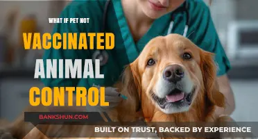 Unvaccinated Pets: Risks and Consequences of Skipping Animal Control Regulations
