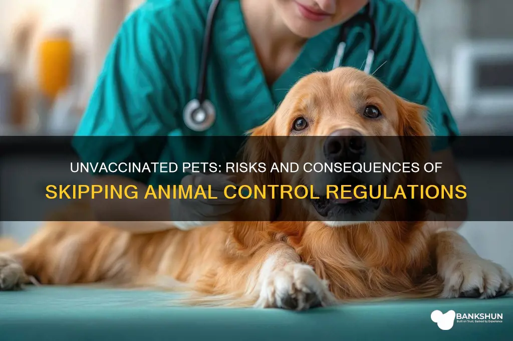 what if pet not vaccinated animal control