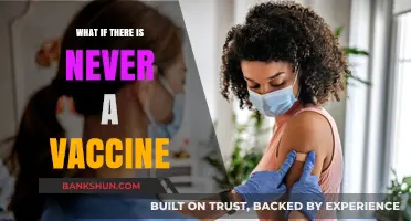 What If a Vaccine Never Arrives? Exploring a Post-Pandemic Future