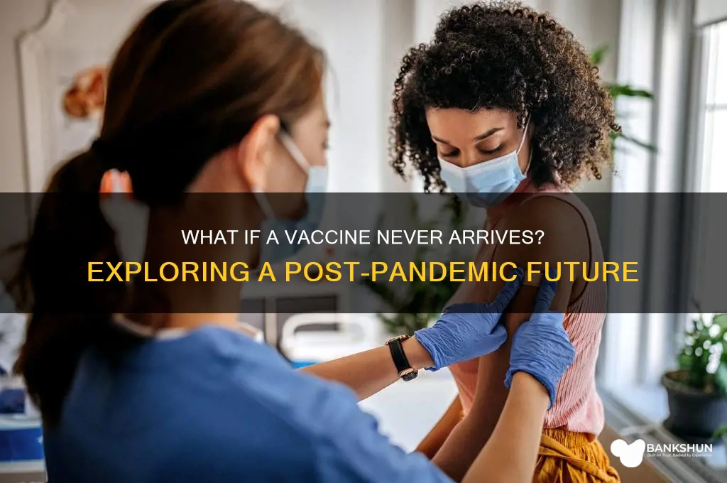 what if there is never a vaccine