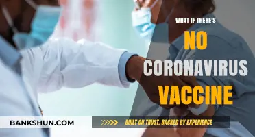 A World Without a COVID-19 Vaccine: Uncertain Future Ahead
