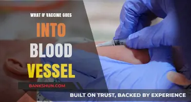 What Happens If a Vaccine Enters a Blood Vessel?