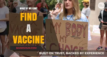 What If We Can't Find a Vaccine? Exploring Alternatives and Challenges
