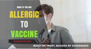 Vaccine Allergies: Understanding Risks, Symptoms, and Safe Alternatives