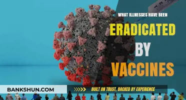Vaccine Victories: Diseases Eradicated Through Immunization Success Stories