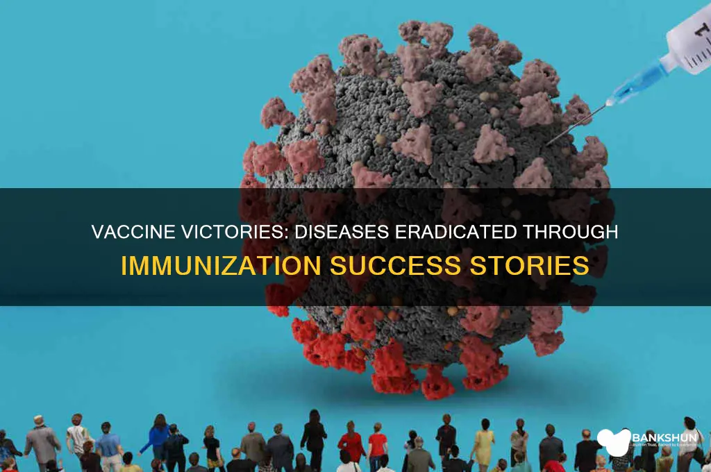 what illnesses have been eradicated by vaccines