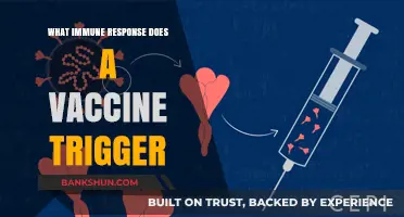 How Vaccines Activate and Strengthen Your Immune System's Defense