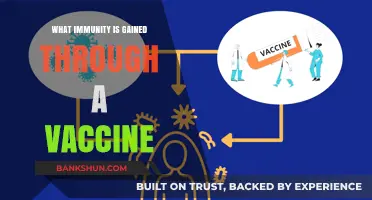 Vaccine-Induced Immunity: How Vaccines Protect Against Diseases and Infections