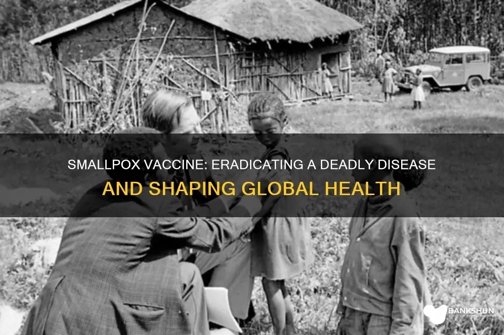 what impact did the smallpox vaccine have