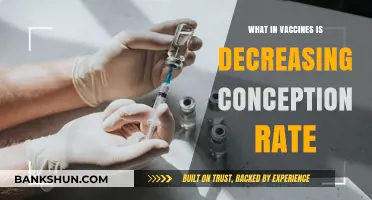 Vaccines and Fertility: Debunking Myths About Conception Rates