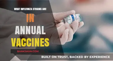 Annual Flu Vaccines: Understanding the Influenza Strains Included